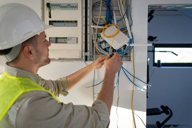 Best Electric Panel Repair  in Arcola, IL